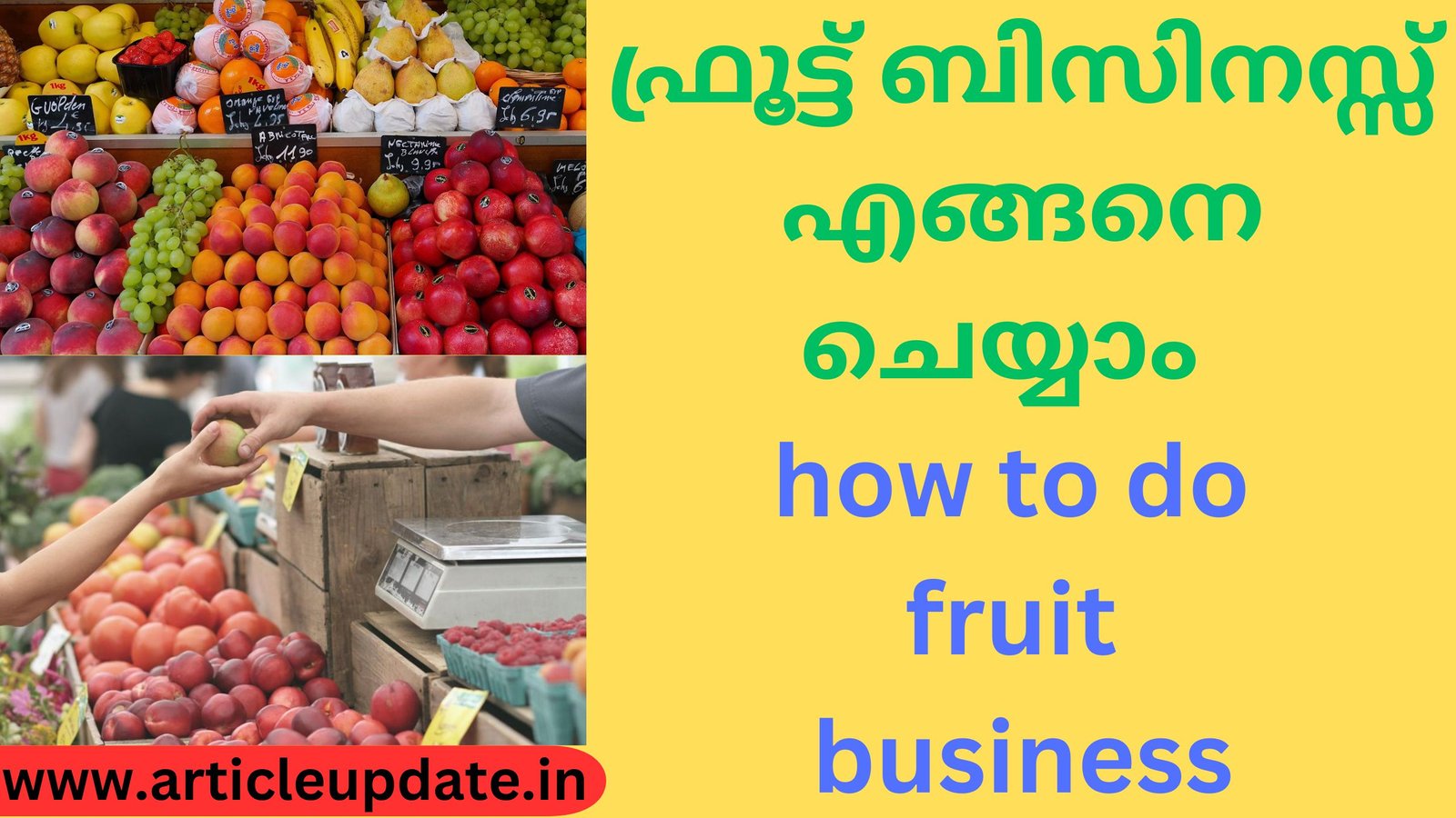 ഫ്രൂട്ട് ബിസിനസ്സ് എങ്ങനെ ചെയ്യാം how to do fruit business