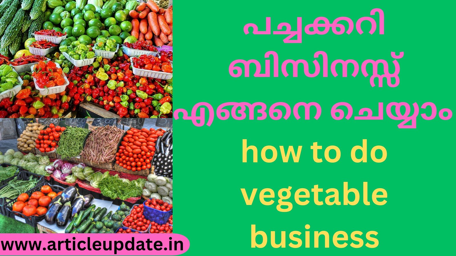 പച്ചക്കറി ബിസിനസ്സ് എങ്ങനെ ചെയ്യാം how to do vegetable business